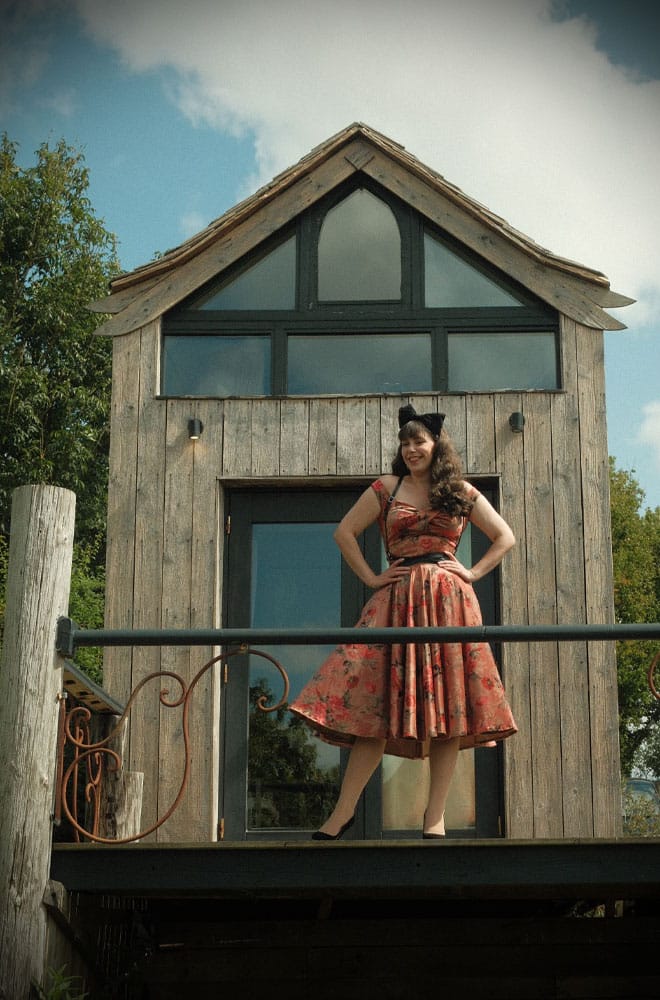 Autumn Rose Velvet Aurora Swing Dress image 5
