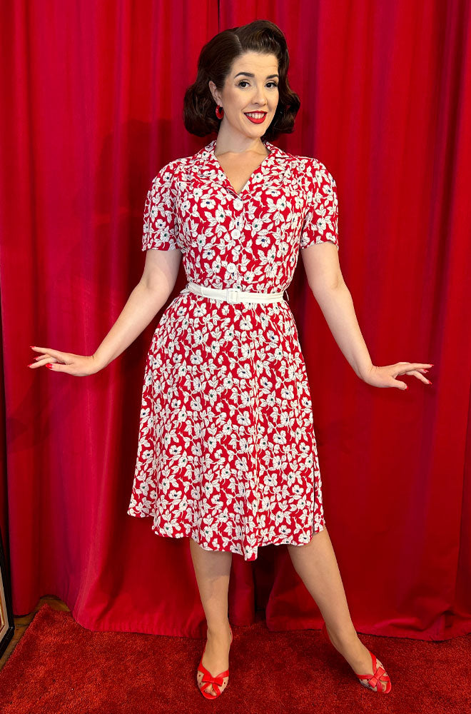 Lisa Shirtwaister Dress