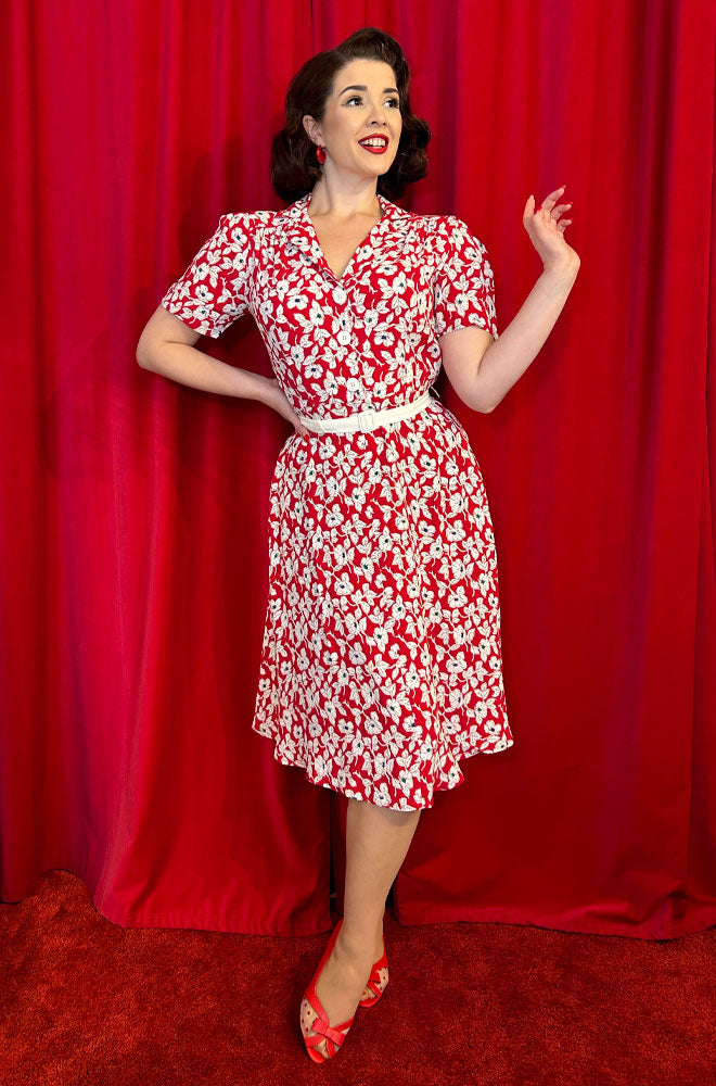 Lisa Shirtwaister Dress