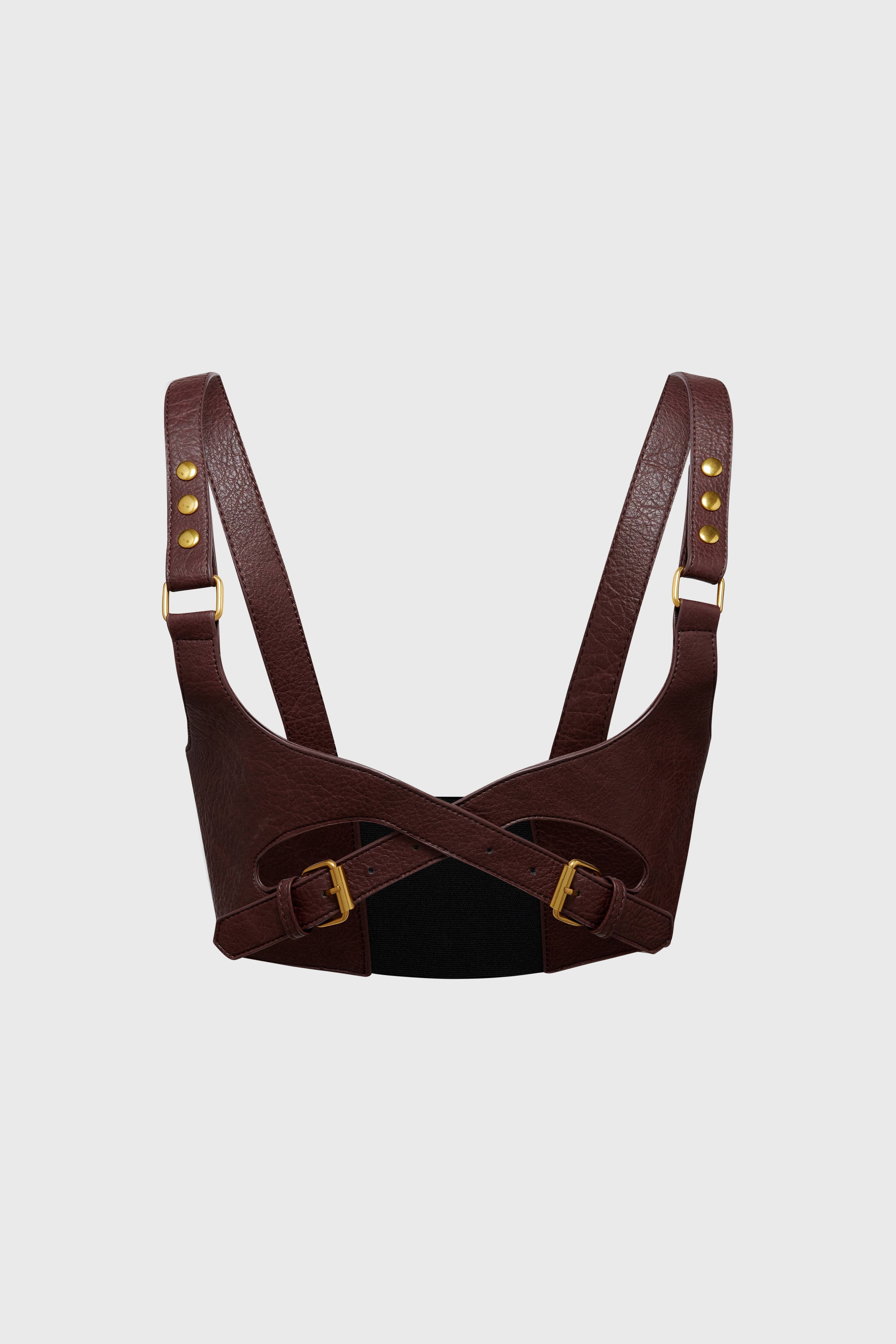 Roseate Harness in Brown/Gold